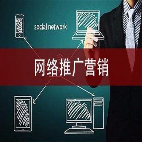 龙文网络推广营销